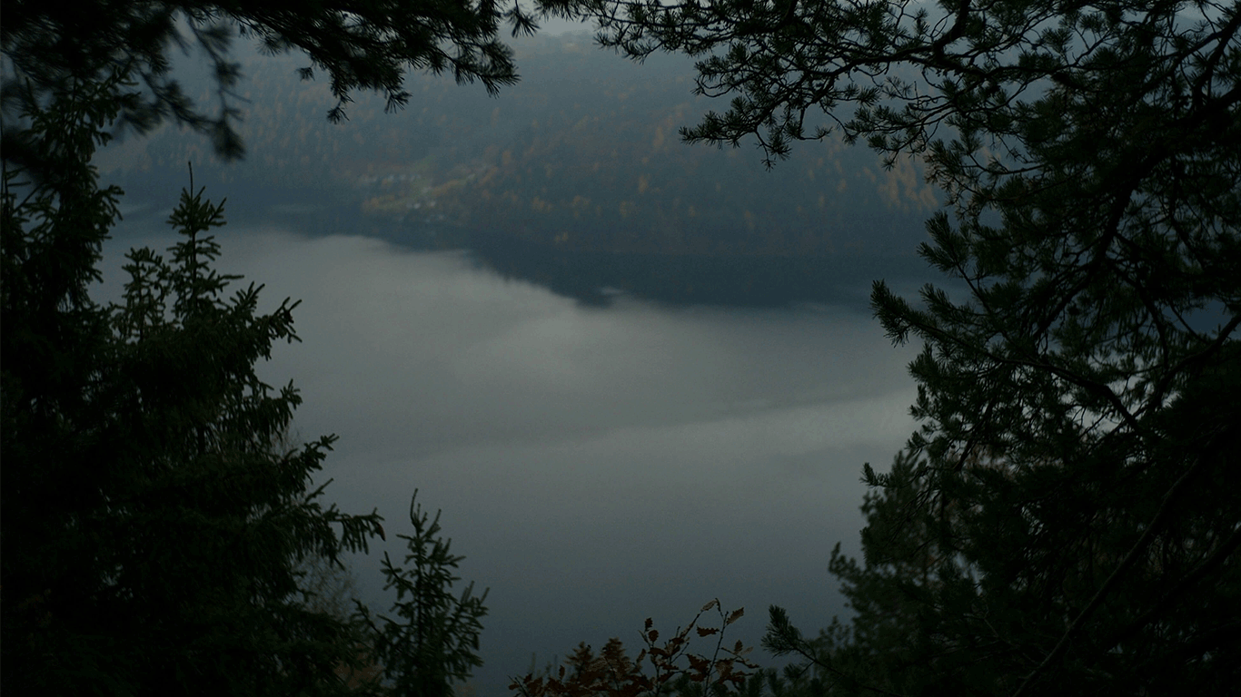 Der Millstätter See mit Blick aus dem Märchenwald